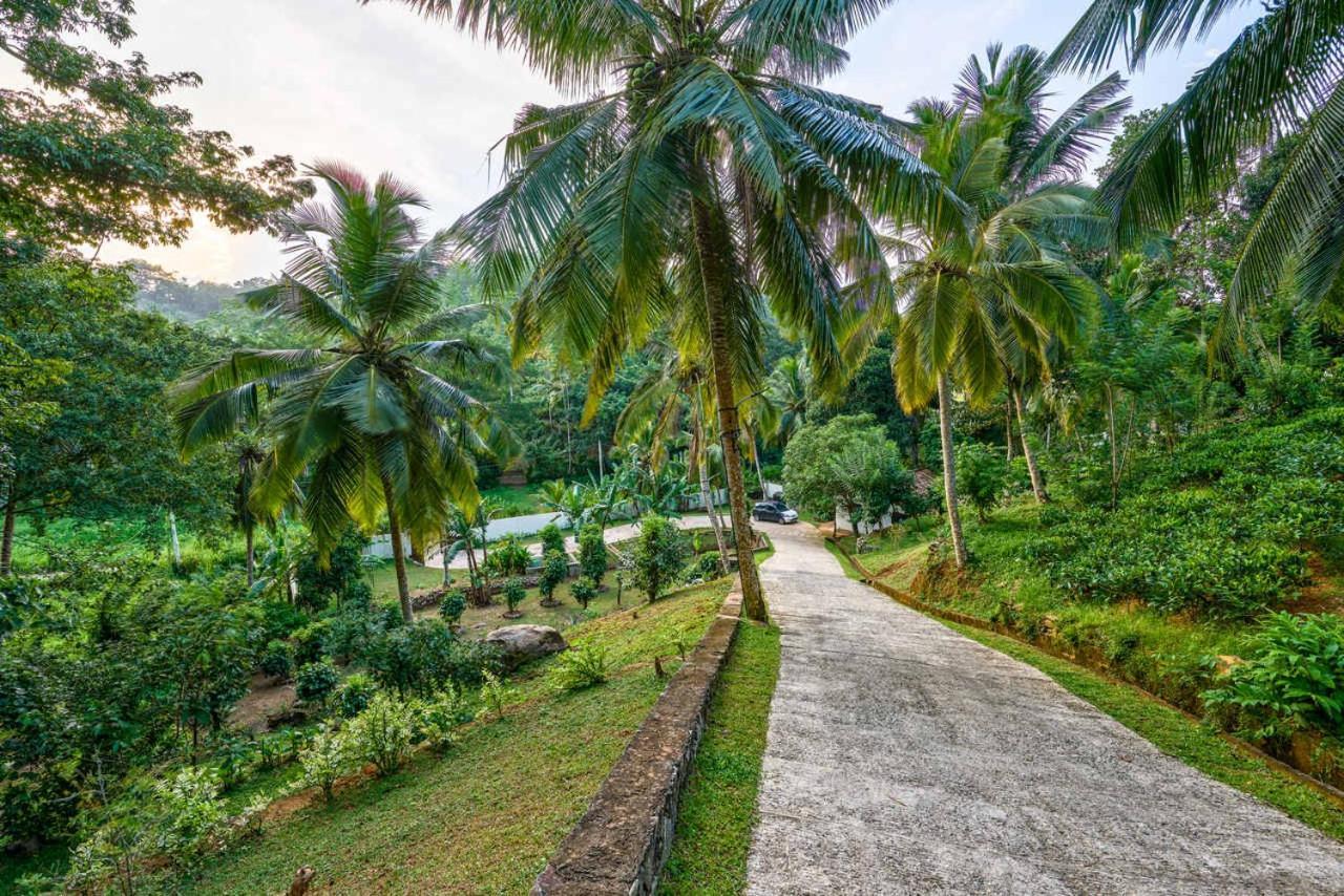 The Divine Villa Talpe Luaran gambar